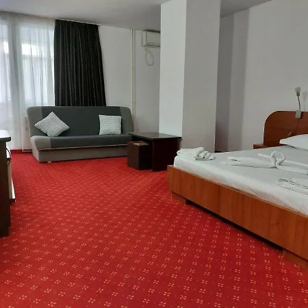 Casa Rodica 3*