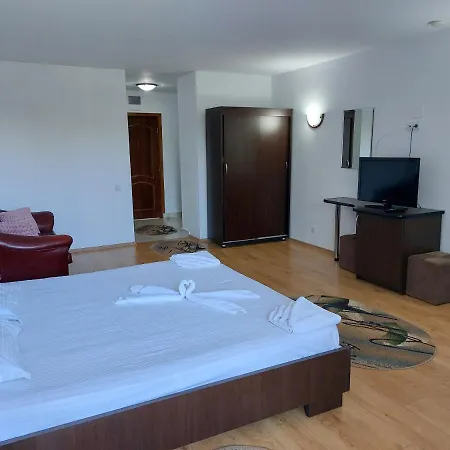 Casa Rodica Pensión