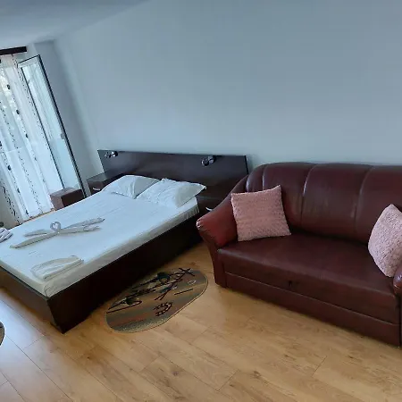 Pensión Casa Rodica