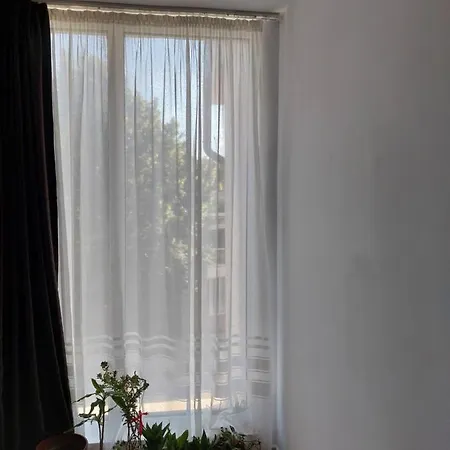 Pensión Casa Rodica Eforie Nord