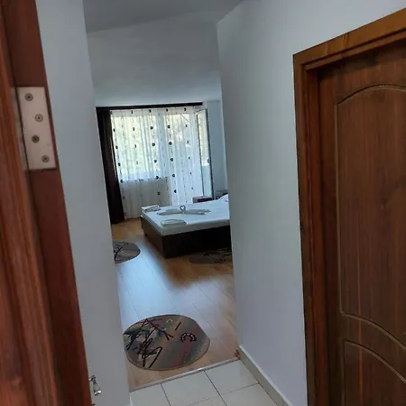 Casa Rodica Pensión 3*