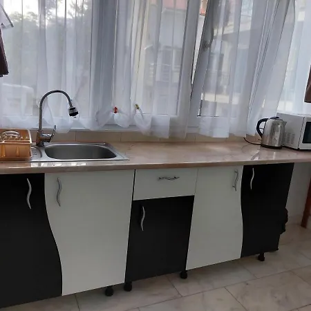 Casa Rodica Pensionat Eforie Nord