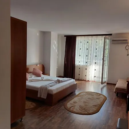 Casa Rodica 3*