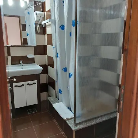 Pensionat Casa Rodica 3*