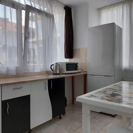 Pensionat Casa Rodica 3*