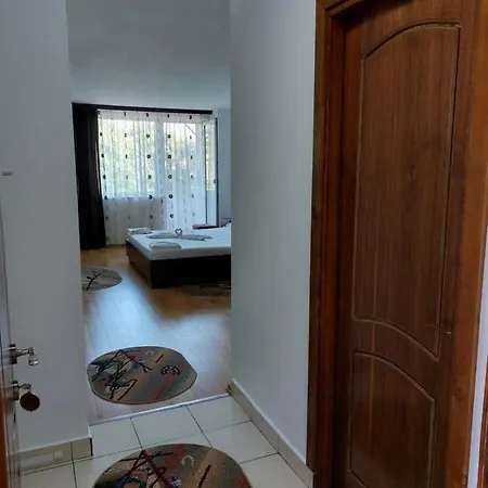Casa Rodica 3* אפורי נורד